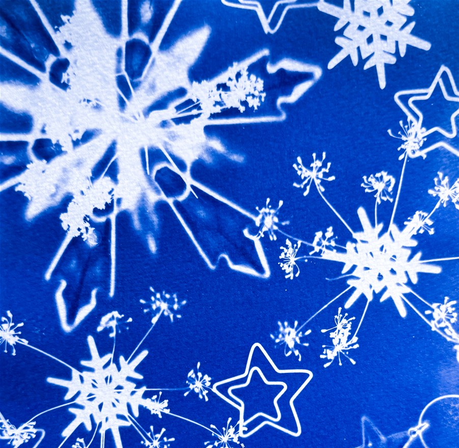 Kunstcafé Blauwe Kerst (cyanotypie workshop)